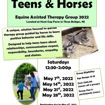 Teens & Horses: Equine Assisted Therapy Group 2022