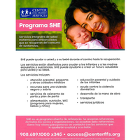SHE Program - Spanish